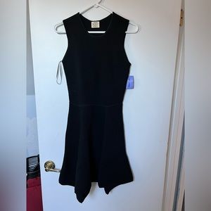 Torn by Ronny Kobo Dress